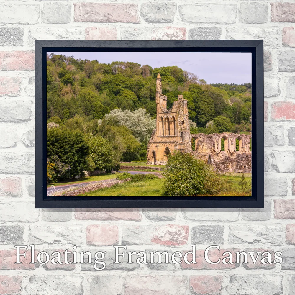 Byland Abbey Late Spring 3 Byland Abbey Late Spring - Landscape-Float-Frame-Canvas