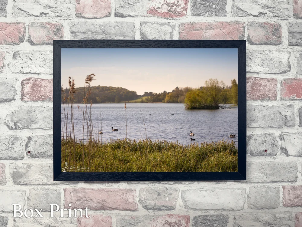 Castle Howard 5 Castle Howard - Landscape-Box-Print