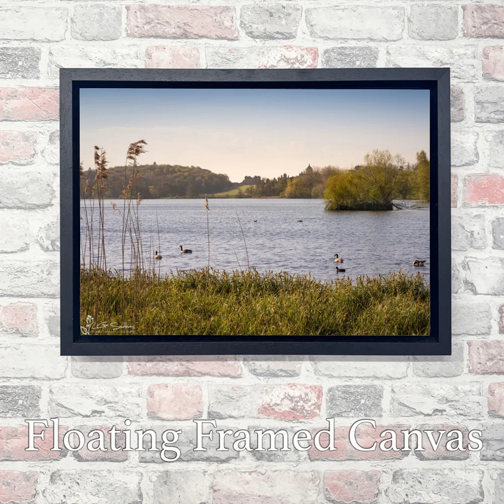 Castle Howard 4 Castle Howard - Landscape-Float-Frame-Canvas