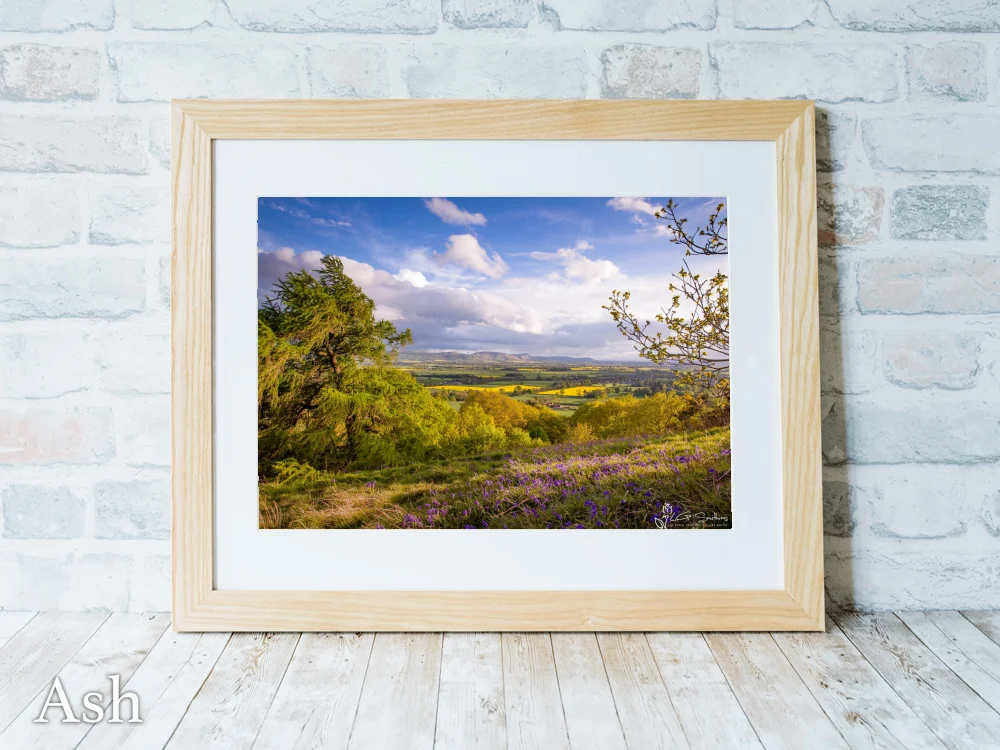 Cleveland Hills From Great Ayton 7 Cleveland Hills From Great Ayton - Ash-Landscape-Frame