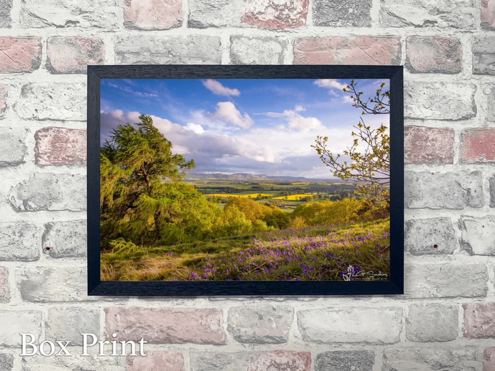 Cleveland Hills From Great Ayton 4 Cleveland Hills From Great Ayton - Landscape-Box-Print