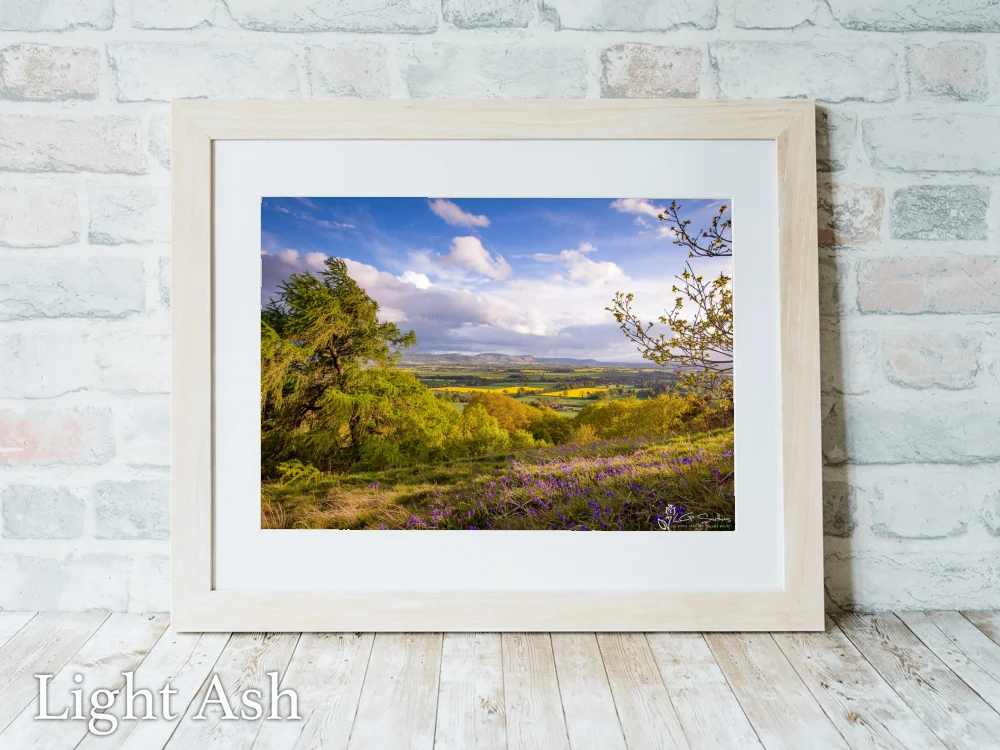 Cleveland Hills From Great Ayton 5 Cleveland Hills From Great Ayton - Light-Ash-Landscape-Frame