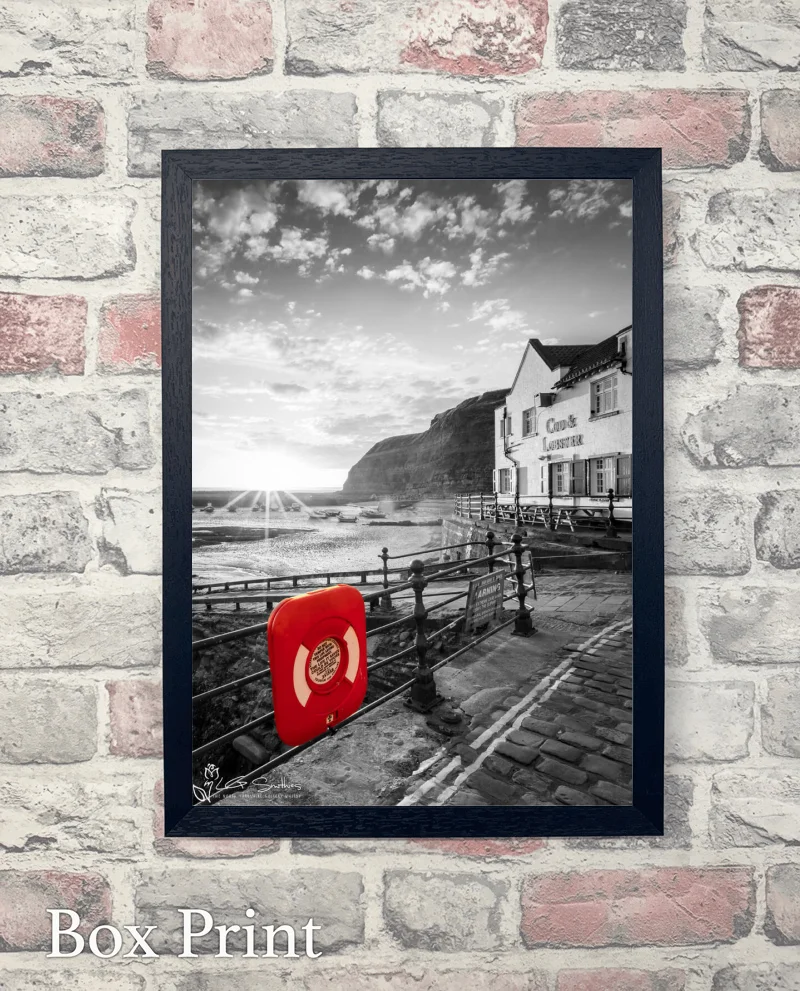 Cod and Lobster Colour Splash Portrait 6 Cod and Lobster Colour Splash Portrait - Box-Print-Portrait