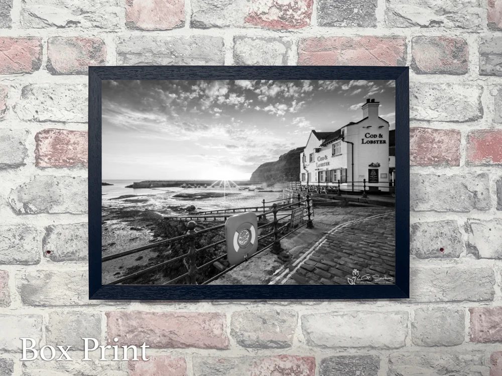 Cod and Lobster Sunrise Black and White 4 Cod and Lobster Sunrise Black and White - Landscape-Box-Print