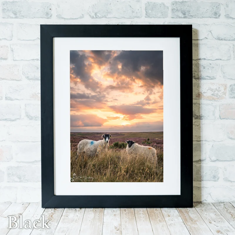 Danby Sheeps At Sunset 3 Danby Sheeps At Sunset - Black-Portrait-Frame