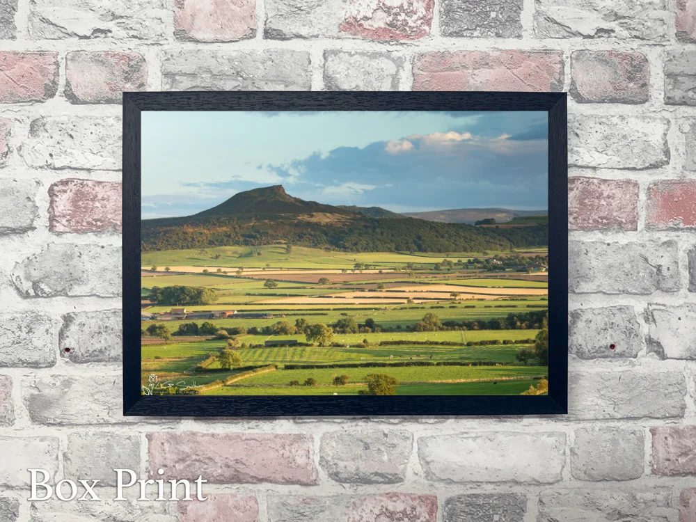 Early Autumn In The Fields Below Roseberry Topping 4 Early Autumn In The Fields Below Roseberry Topping - Landscape-Box-Print