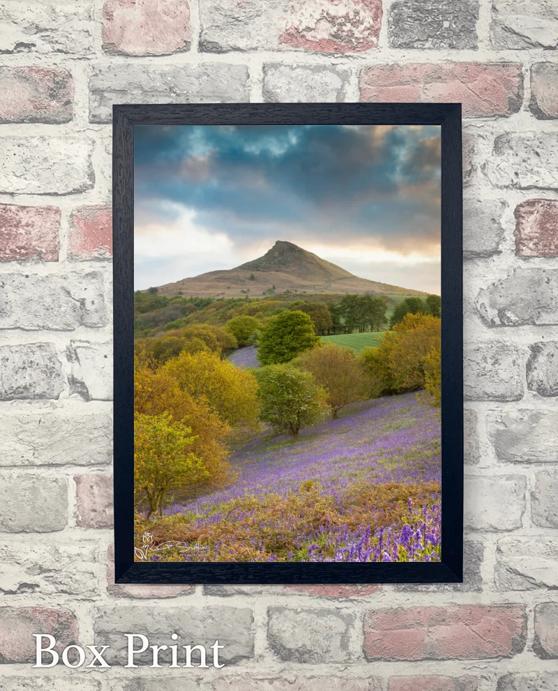 Early Morning At Roseberry Topping 6 Early Morning At Roseberry Topping - Box-Print-Portrait