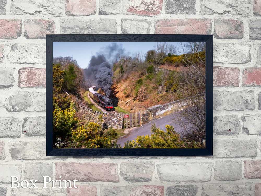 Eric Treacy At Beck Hole On The NYMR 4 Eric Treacy At Beck Hole On The NYMR - Landscape-Box-Print