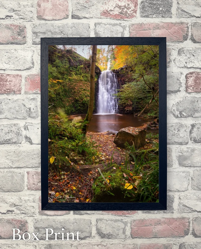Falling Foss Autumn 6 Falling Foss Autumn - Box-Print-Portrait