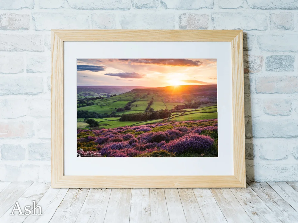 Farndales Purple Heather At Sunset 7 Farndales Purple Heather At Sunset - Ash-Landscape-Frame