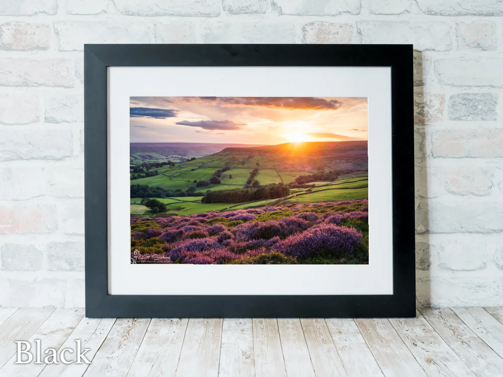 Farndales Purple Heather At Sunset 6 Farndales Purple Heather At Sunset - Black-Landscape-Frame