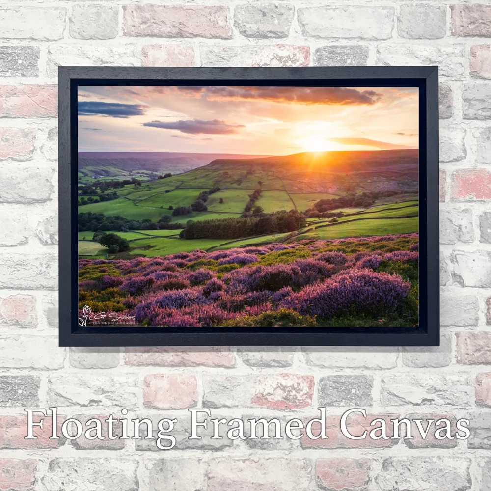Farndales Purple Heather At Sunset 3 Farndales Purple Heather At Sunset - Landscape-Float-Frame-Canvas