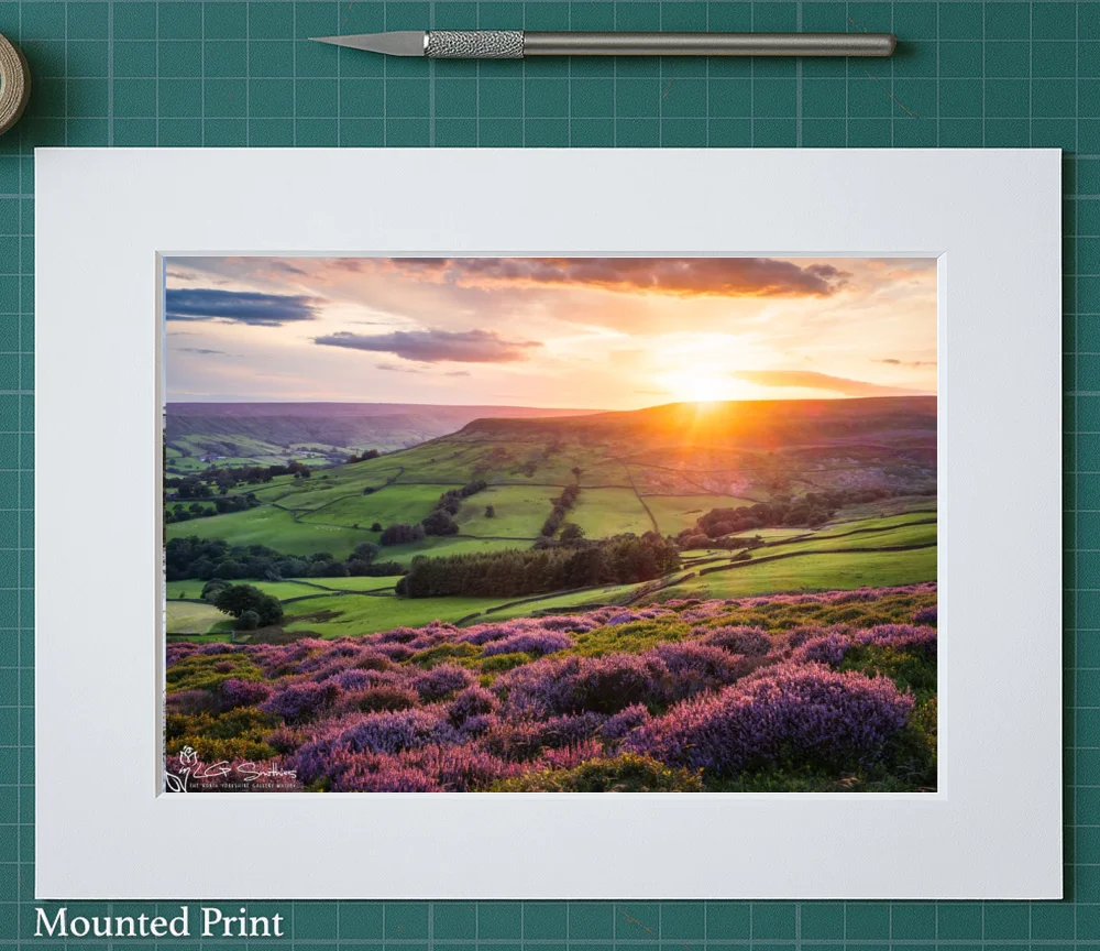Farndales Purple Heather At Sunset 2 Farndales Purple Heather At Sunset - Landscape-Mounted-Print