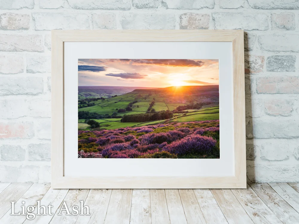 Farndales Purple Heather At Sunset 5 Farndales Purple Heather At Sunset - Light-Ash-Landscape-Frame
