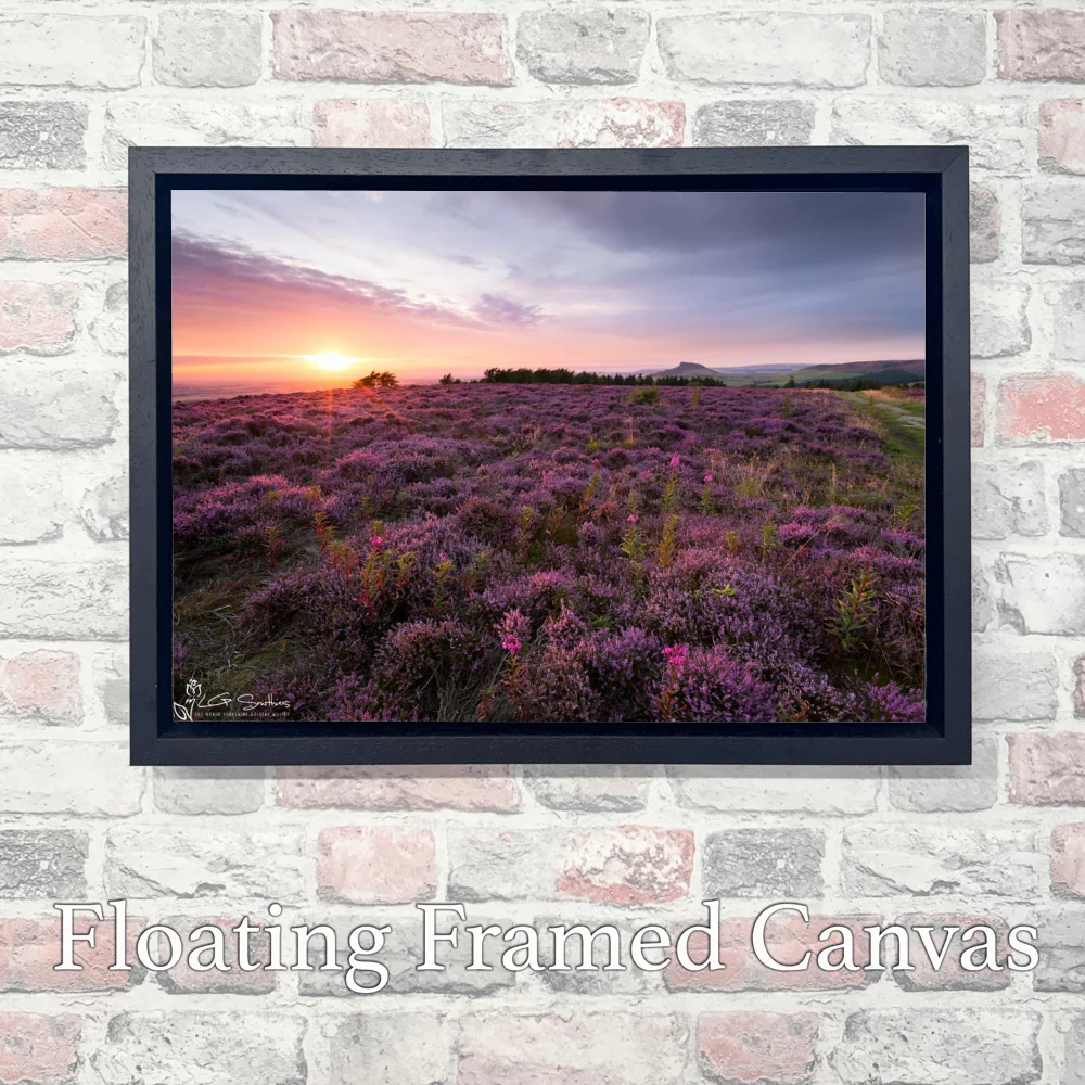 Fields Of Purple Heather Around Roseberry Topping 3 Fields Of Purple Heather Around Roseberry Topping - Landscape-Float-Frame-Canvas