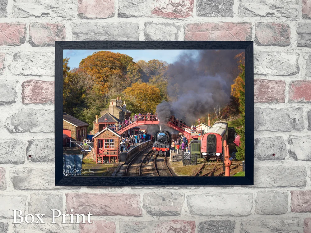 Flying Scotsman Exchanging The Token At Goathland Station 4 Flying Scotsman Exchanging The Token At Goathland Station - Landscape-Box-Print