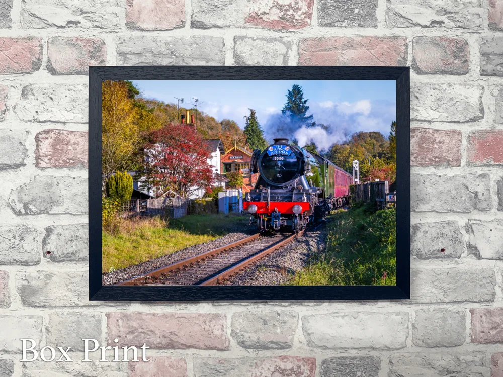 Flying Scotsman Locomotive At New Bridge Signal Box NYMR 4 Flying Scotsman Locomotive At New Bridge Signal Box NYMR - Landscape-Box-Print