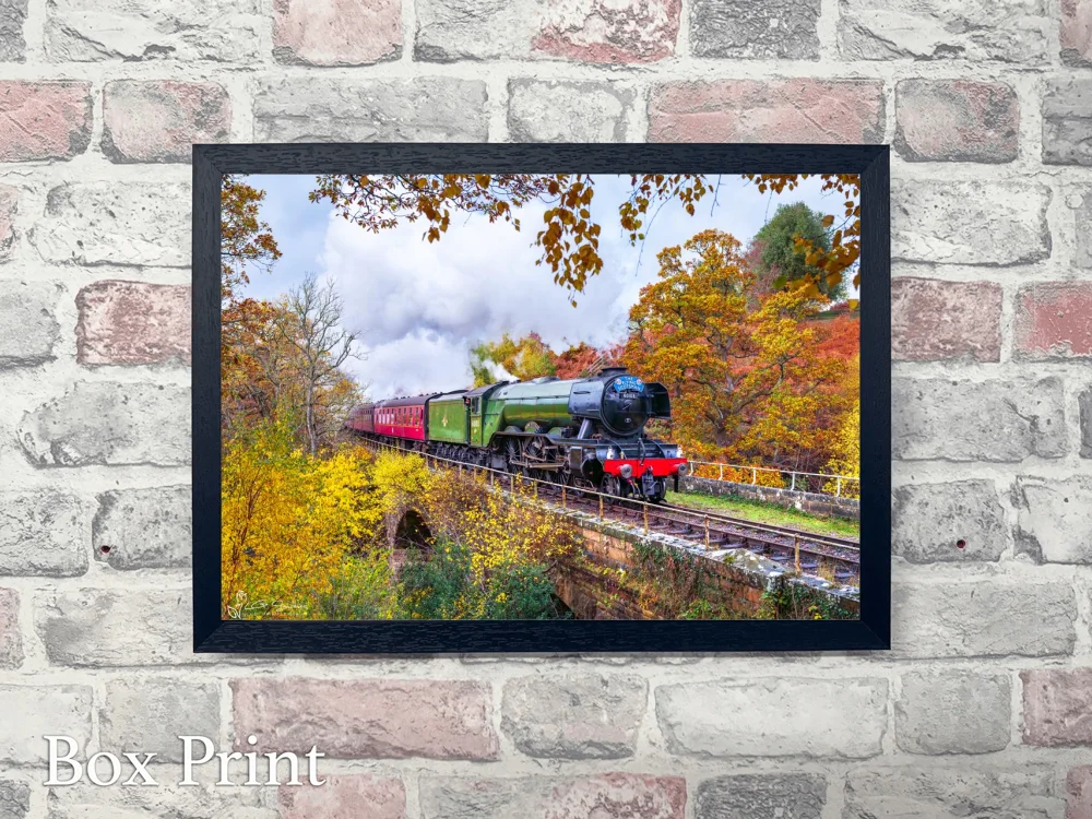 Flying Scotsman On The NYMR 4 Flying Scotsman On The NYMR - Landscape-Box-Print