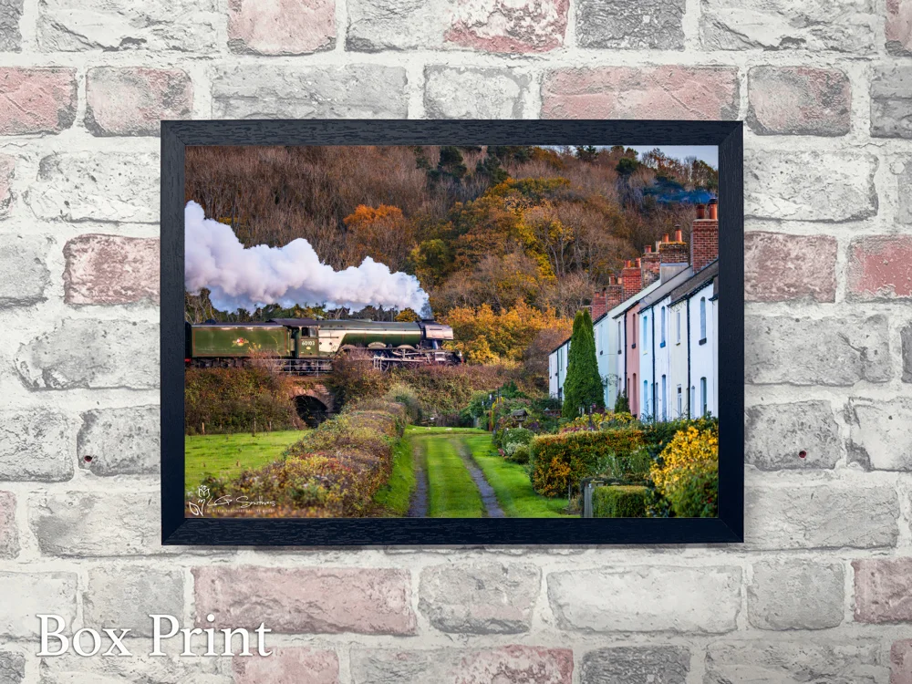 Flying Scotsman Passes Esk Valley Cottages 4 Flying Scotsman Passes Esk Valley Cottages - Landscape-Box-Print
