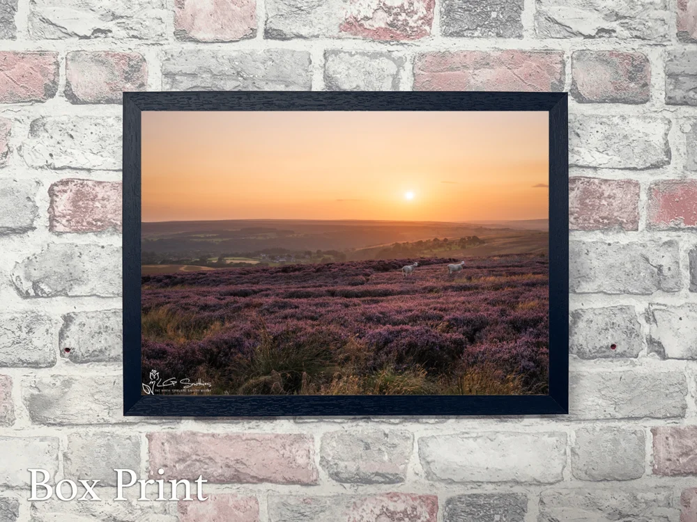Goathland Sunset North York Moors 4 Goathland Sunset North York Moors - Landscape-Box-Print