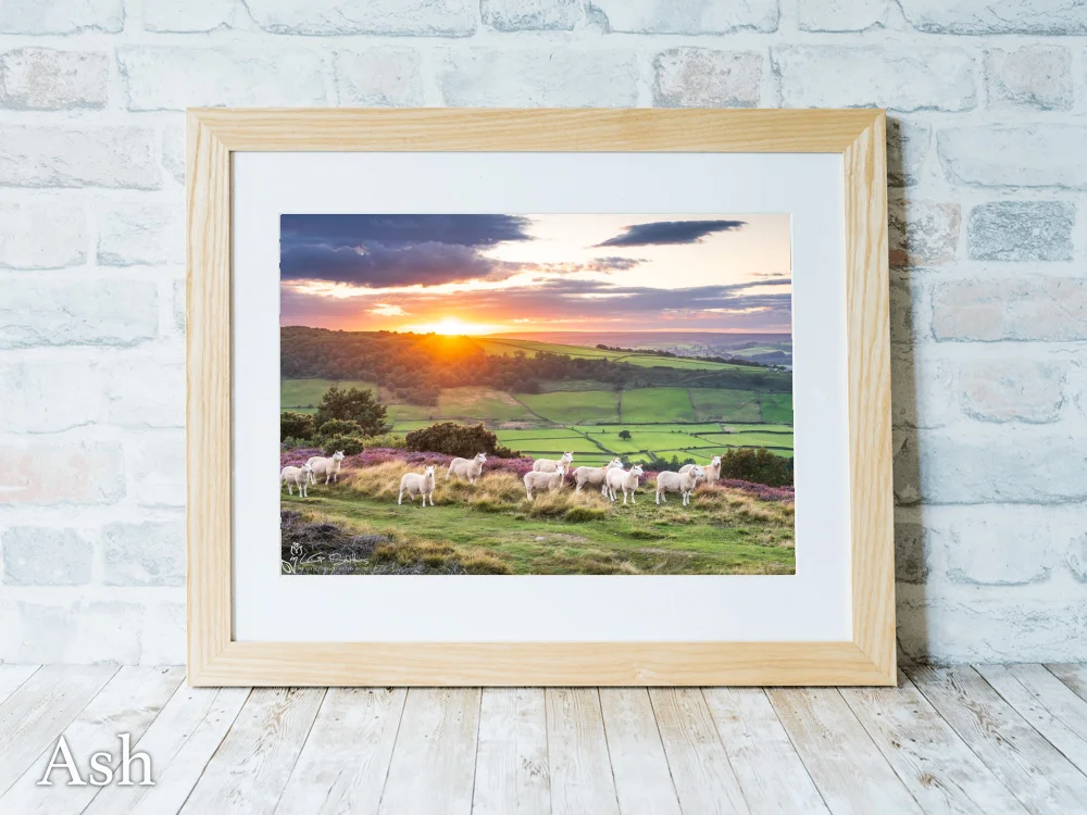 Great Fryup Dale From Glaisdale Rigg 7 Great Fryup Dale From Glaisdale Rigg - Ash-Landscape-Frame