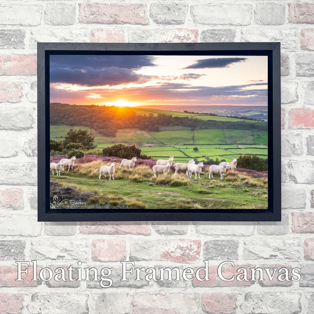 Great Fryup Dale From Glaisdale Rigg 3 Great Fryup Dale From Glaisdale Rigg - Landscape-Float-Frame-Canvas