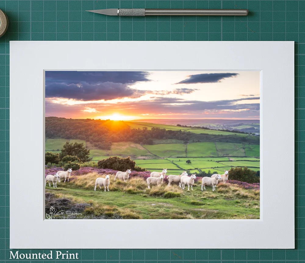 Great Fryup Dale From Glaisdale Rigg 2 Great Fryup Dale From Glaisdale Rigg - Landscape-Mounted-Print