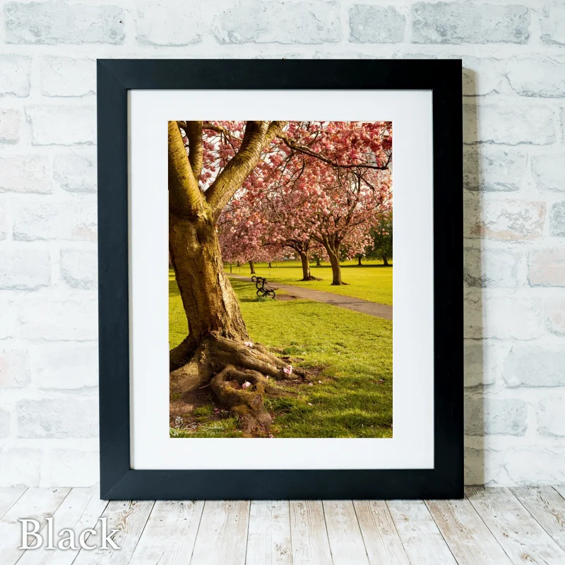 Harrogate Yorkshire 3 Harrogate Yorkshire - Black-Portrait-Frame