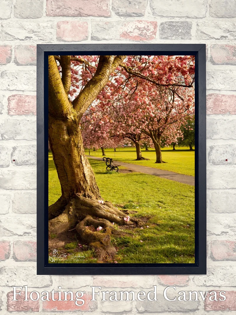 Harrogate Yorkshire 7 Harrogate Yorkshire - Float-Frame-Canvas-Portrait