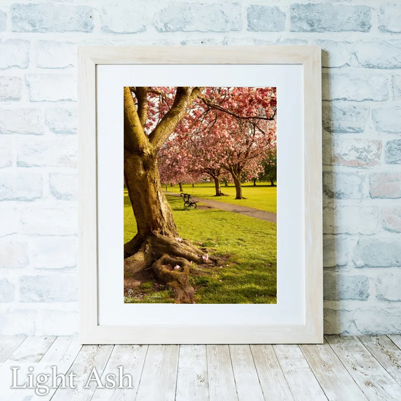 Harrogate Yorkshire 2 Harrogate Yorkshire - Light-Ash-Portrait-Frame