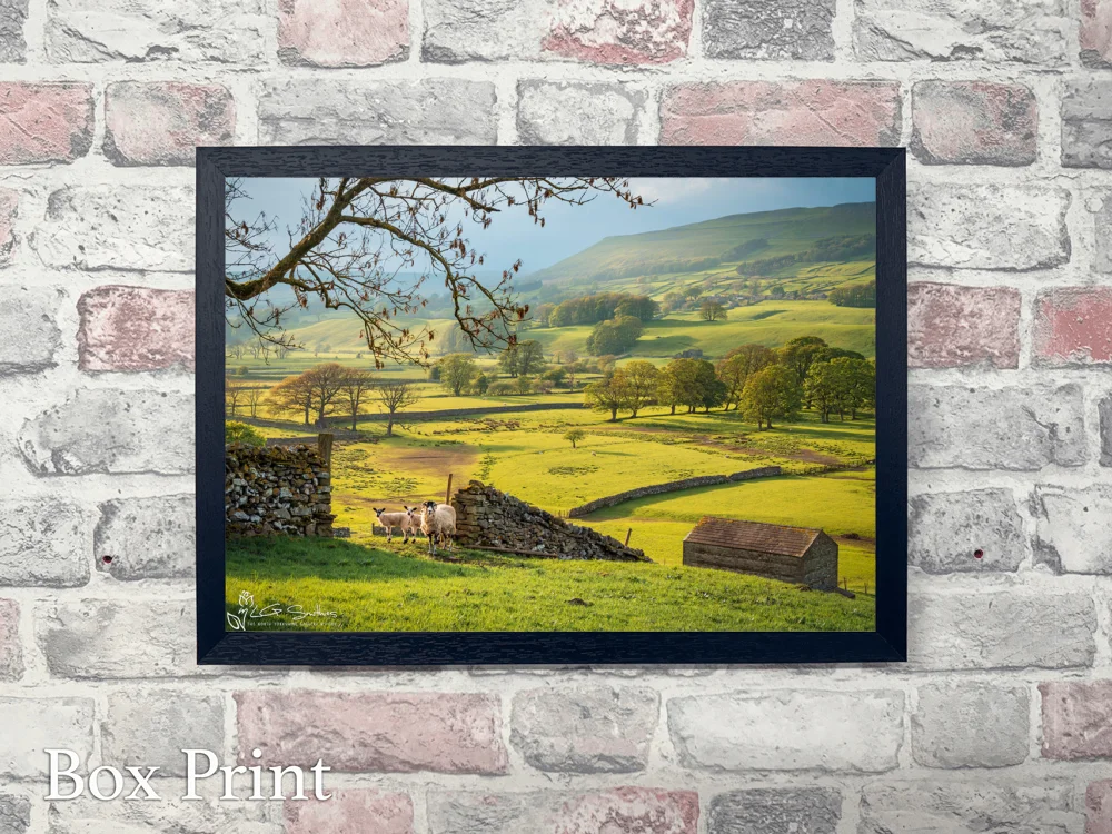 Hawes Yorkshire 4 Hawes Yorkshire - Landscape-Box-Print