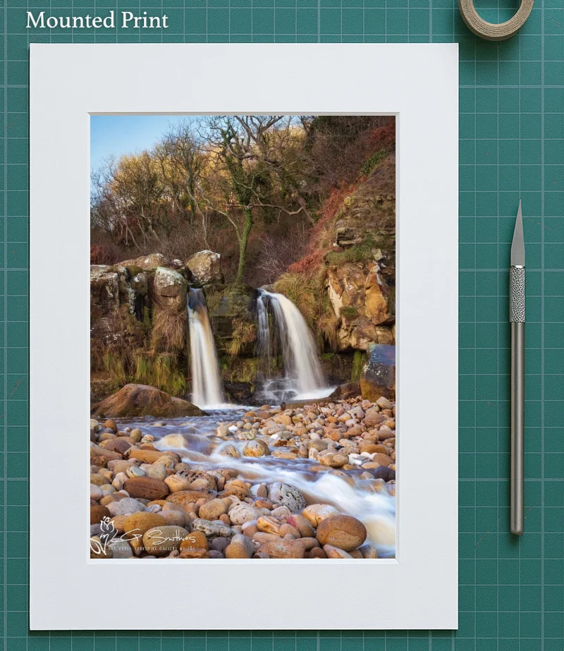 Hayburn Wyke 5 Hayburn Wyke - Mounted-Print-Portrait