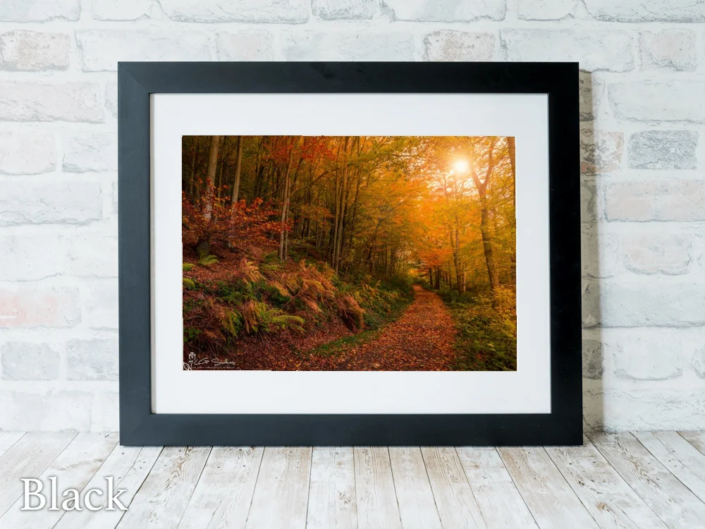 Kildale Woods Autumn 6 Kildale Woods Autumn - Black-Landscape-Frame