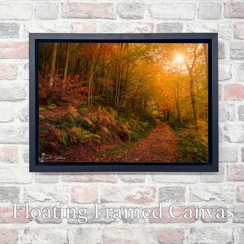 Kildale Woods Autumn 3 Kildale Woods Autumn - Landscape-Float-Frame-Canvas