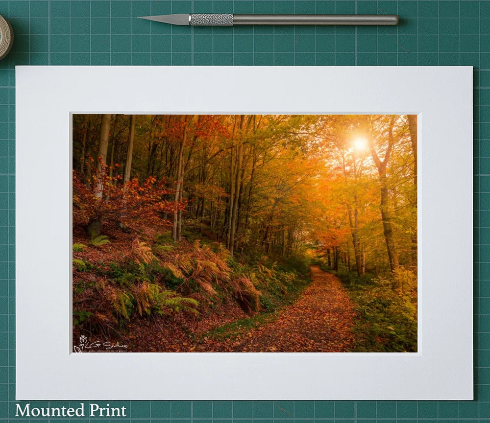 Kildale Woods Autumn 2 Kildale Woods Autumn - Landscape-Mounted-Print