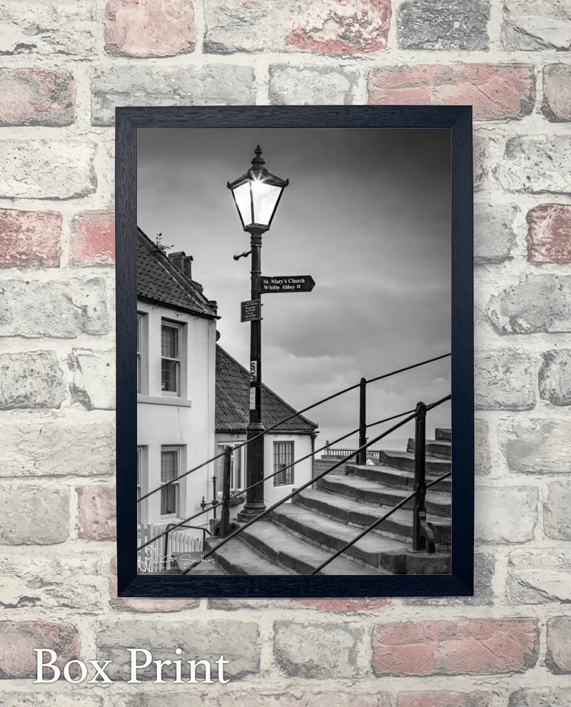 Lamp On The 199 Steps Black And White 7 Lamp On The 199 Steps Black And White - Box-Print-Portrait