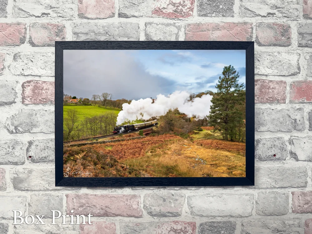 Late Autumn At Darnholme 4 Late Autumn At Darnholme - Landscape-Box-Print
