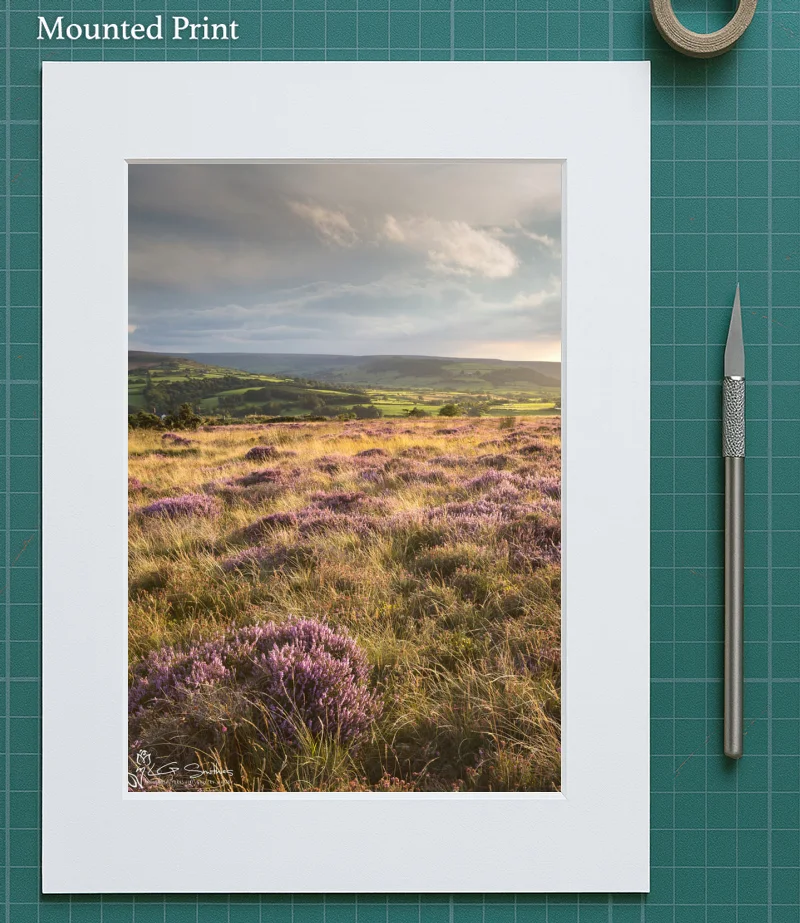 Lealholm Moor 5 Lealholm Moor - Mounted-Print-Portrait