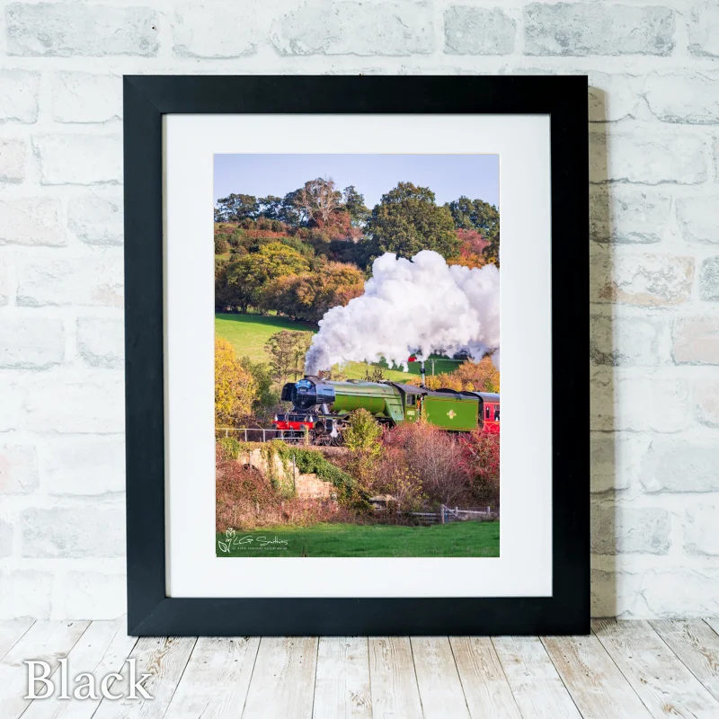 Loco 60103 Flying Scotsman At Esk Valley Cottages 3 Loco 60103 Flying Scotsman At Esk Valley Cottages - Black-Portrait-Frame