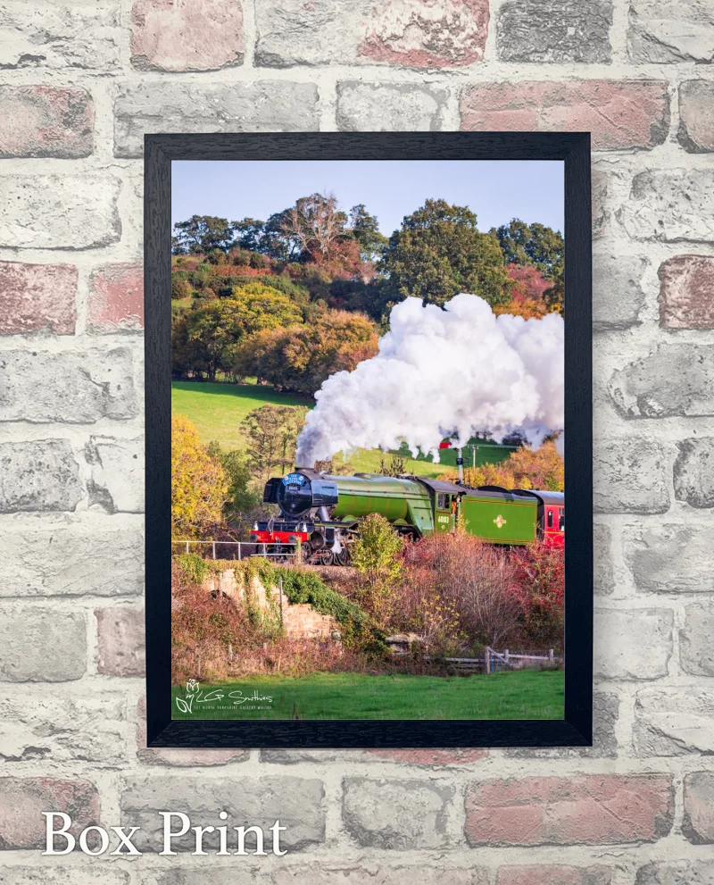 Loco 60103 Flying Scotsman At Esk Valley Cottages 6 Loco 60103 Flying Scotsman At Esk Valley Cottages - Box-Print-Portrait