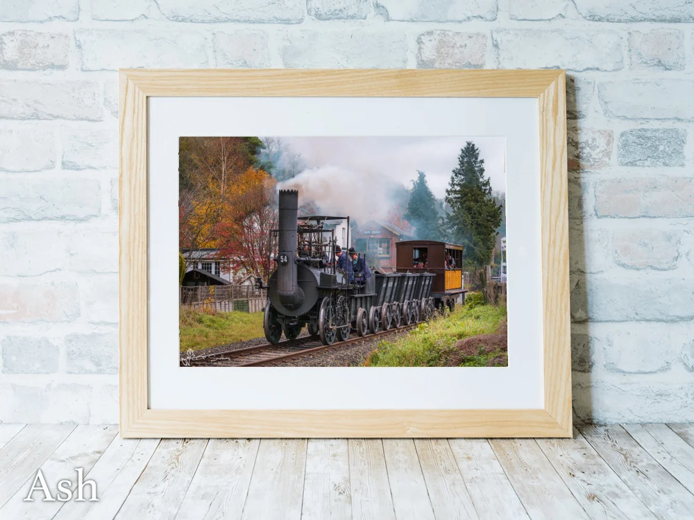 Locomotion No.1 On The NYMR 7 Locomotion No.1 On The NYMR - Ash-Landscape-Frame