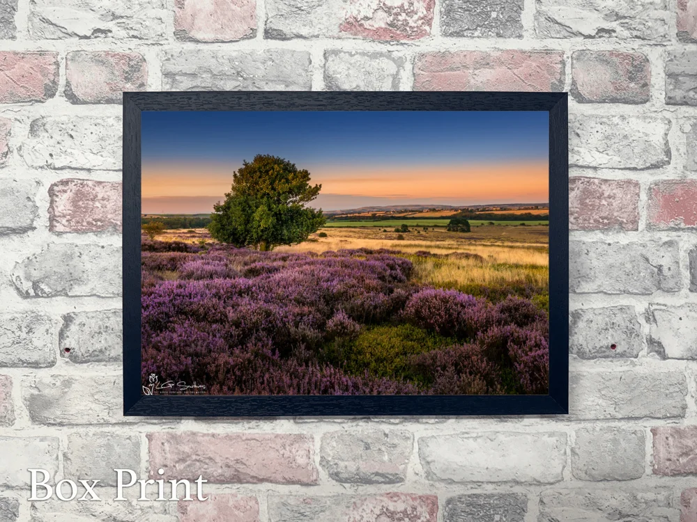 Moorsholm From The Moor 4 Moorsholm From The Moor - Landscape-Box-Print