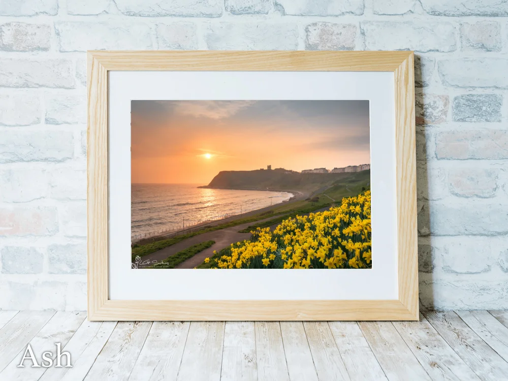 North Bay Spring 7 North Bay Spring - Ash-Landscape-Frame