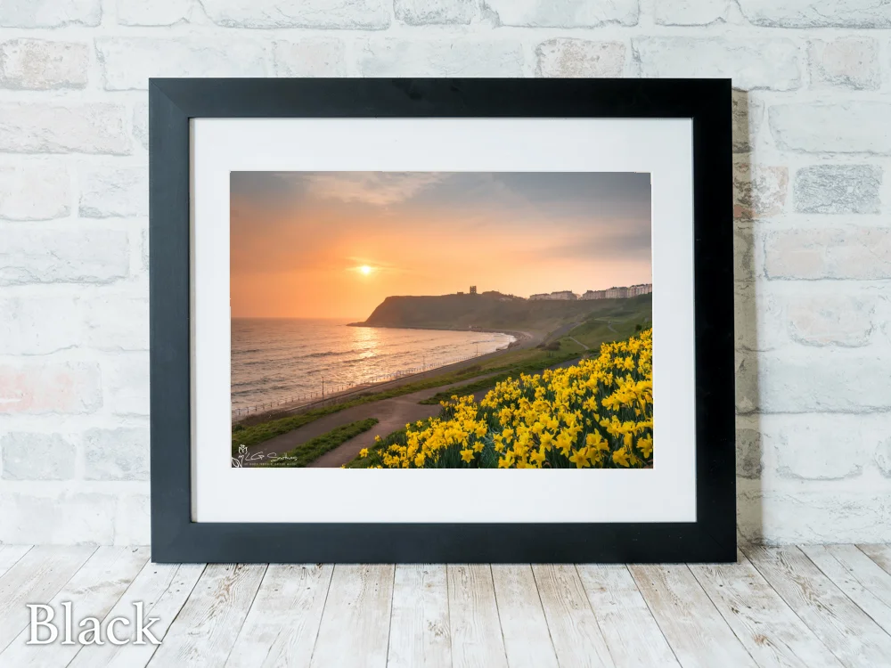 North Bay Spring 6 North Bay Spring - Black-Landscape-Frame