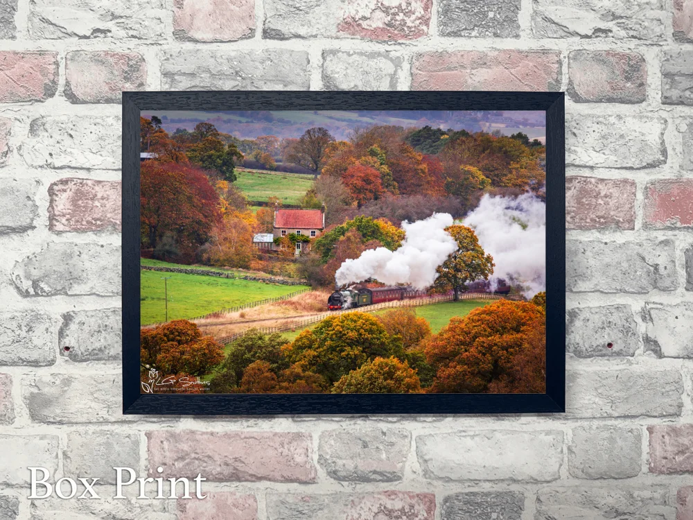 NYMR Steam Engine On An Autumn Morning 4 NYMR Steam Engine On An Autumn Morning - Landscape-Box-Print