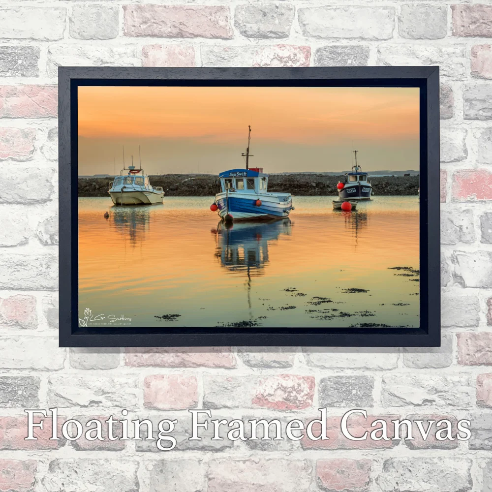 Paddy's Hole Sea Swift 3 Paddy's Hole Sea Swift - Landscape-Float-Frame-Canvas