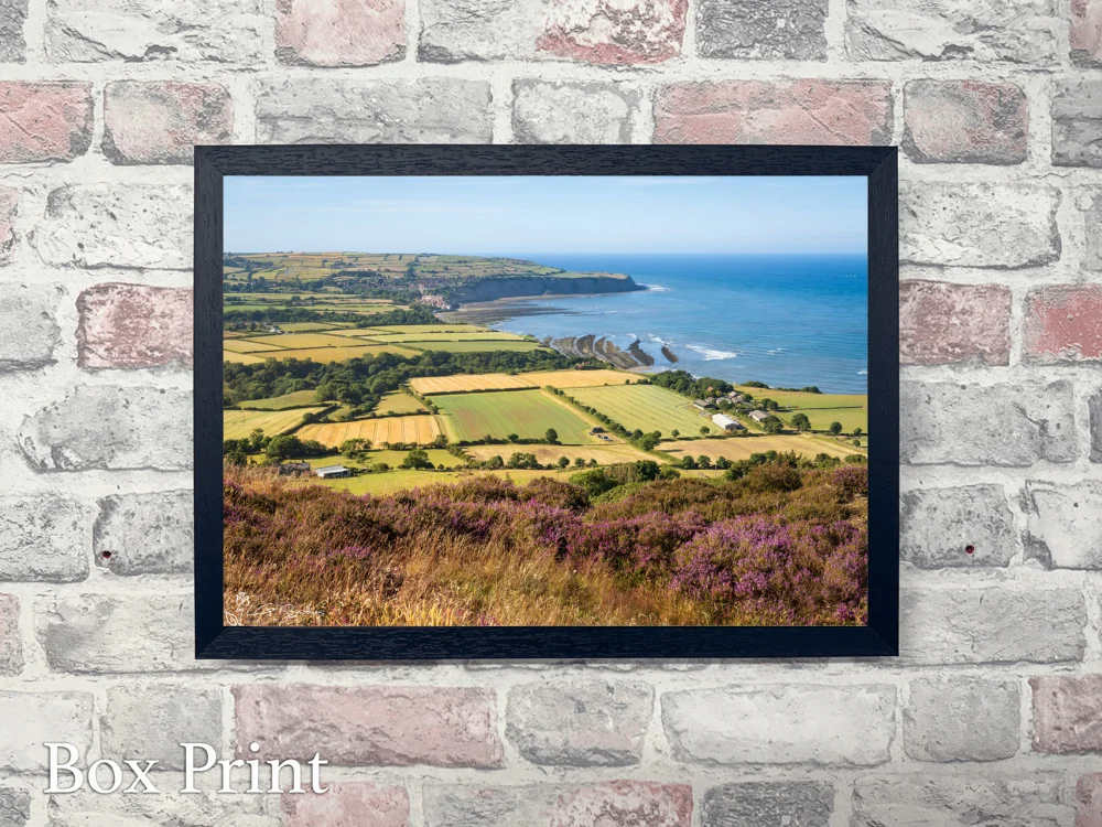 Ravenscar to Robin Hoods Bay On A Summers Afternoon 4 Ravenscar to Robin Hoods Bay On A Summers Afternoon - Landscape-Box-Print