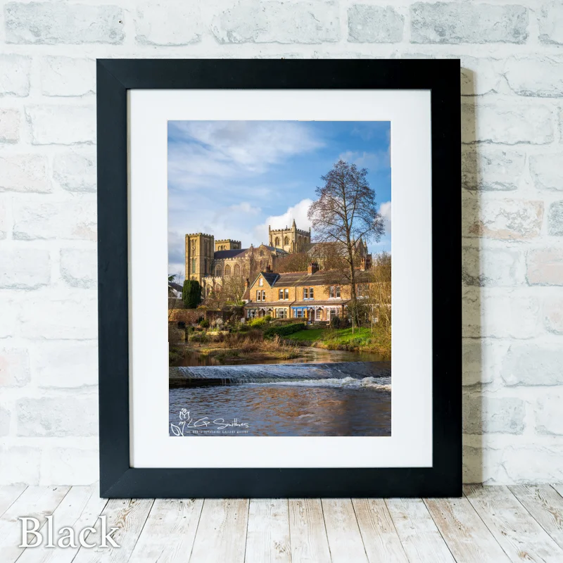 Ripon Cathedral Across the River Skell 3 Ripon Cathedral Across the River Skell - Black-Portrait-Frame