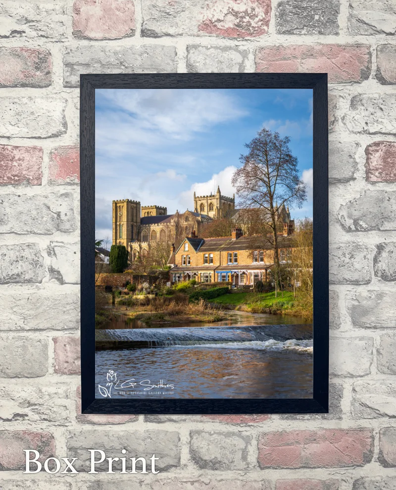 Ripon Cathedral Across the River Skell 6 Ripon Cathedral Across the River Skell - Box-Print-Portrait