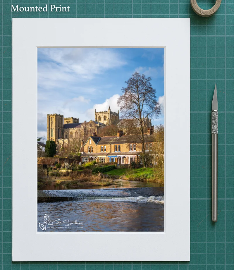 Ripon Cathedral Across the River Skell 5 Ripon Cathedral Across the River Skell - Mounted-Print-Portrait